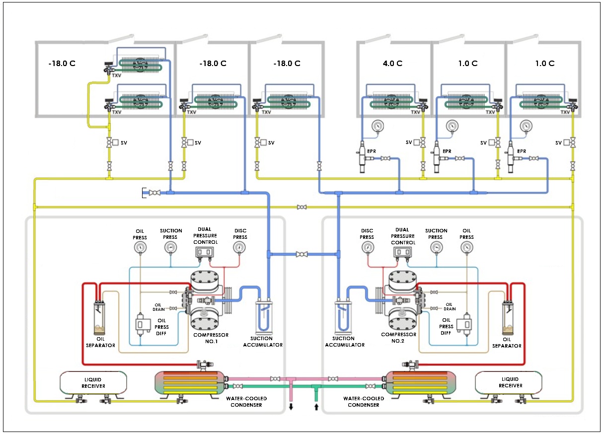 Ammonia Breakdown Support QLD